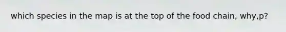 which species in the map is at the top of the food chain, why,p?