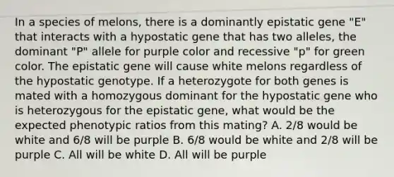 In a species of melons, there is a dominantly epistatic gene "E" that interacts with a hypostatic gene that has two alleles, the dominant "P" allele for purple color and recessive "p" for green color. The epistatic gene will cause white melons regardless of the hypostatic genotype. If a heterozygote for both genes is mated with a homozygous dominant for the hypostatic gene who is heterozygous for the epistatic gene, what would be the expected phenotypic ratios from this mating? A. 2/8 would be white and 6/8 will be purple B. 6/8 would be white and 2/8 will be purple C. All will be white D. All will be purple