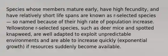 Species whose members mature early, have high fecundity, and have relatively short life spans are known as r-selected species — so named because of their high rate of population increase. Yellowstone r-selected species, such as deer mice and spotted knapweed, are well adapted to exploit unpredictable environments and are able to increase quickly (exponential growth) if resources suddenly become available.