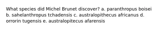 What species did Michel Brunet discover? a. paranthropus boisei b. sahelanthropus tchadensis c. australopithecus africanus d. orrorin tugensis e. australopitecus afarensis