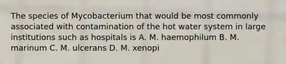 The species of Mycobacterium that would be most commonly associated with contamination of the hot water system in large institutions such as hospitals is A. M. haemophilum B. M. marinum C. M. ulcerans D. M. xenopi