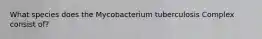 What species does the Mycobacterium tuberculosis Complex consist of?