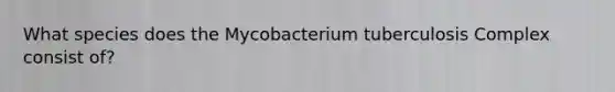 What species does the Mycobacterium tuberculosis Complex consist of?