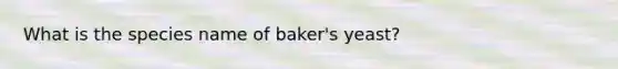 What is the species name of baker's yeast?