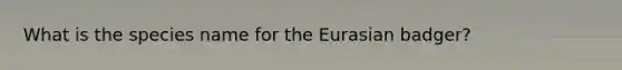 What is the species name for the Eurasian badger?