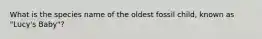 What is the species name of the oldest fossil child, known as "Lucy's Baby"?