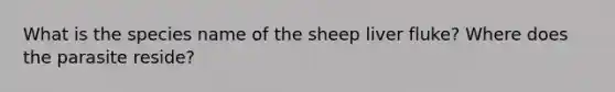 What is the species name of the sheep liver fluke? Where does the parasite reside?