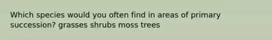 Which species would you often find in areas of primary succession? grasses shrubs moss trees