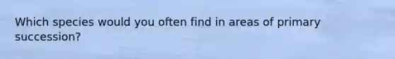 Which species would you often find in areas of primary succession?