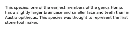 This species, one of the earliest members of the genus Homo, has a slightly larger braincase and smaller face and teeth than in Australopithecus. This species was thought to represent the first stone-tool maker.