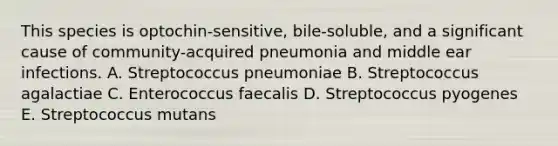 This species is optochin-sensitive, bile-soluble, and a significant cause of community-acquired pneumonia and middle ear infections. A. Streptococcus pneumoniae B. Streptococcus agalactiae C. Enterococcus faecalis D. Streptococcus pyogenes E. Streptococcus mutans