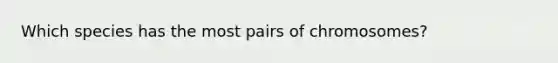 Which species has the most pairs of chromosomes?