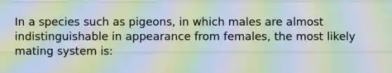 In a species such as pigeons, in which males are almost indistinguishable in appearance from females, the most likely mating system is: