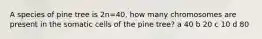 A species of pine tree is 2n=40, how many chromosomes are present in the somatic cells of the pine tree? a 40 b 20 c 10 d 80