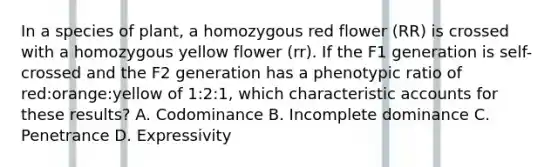 In a species of plant, a homozygous red flower (RR) is crossed with a homozygous yellow flower (rr). If the F1 generation is self-crossed and the F2 generation has a phenotypic ratio of red:orange:yellow of 1:2:1, which characteristic accounts for these results? A. Codominance B. Incomplete dominance C. Penetrance D. Expressivity