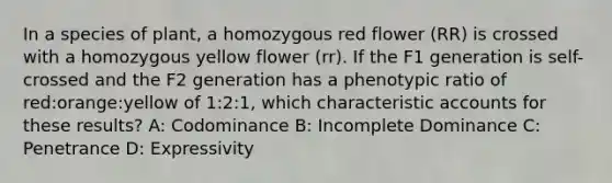 In a species of plant, a homozygous red flower (RR) is crossed with a homozygous yellow flower (rr). If the F1 generation is self-crossed and the F2 generation has a phenotypic ratio of red:orange:yellow of 1:2:1, which characteristic accounts for these results? A: Codominance B: Incomplete Dominance C: Penetrance D: Expressivity