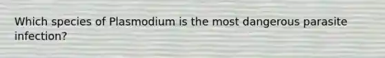 Which species of Plasmodium is the most dangerous parasite infection?
