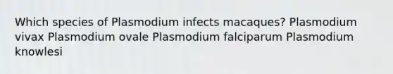 Which species of Plasmodium infects macaques? Plasmodium vivax Plasmodium ovale Plasmodium falciparum Plasmodium knowlesi