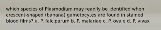 which species of Plasmodium may readily be identified when crescent-shaped (banana) gametocytes are found in stained blood films? a. P. falciparum b. P. malariae c. P. ovale d. P. vivax