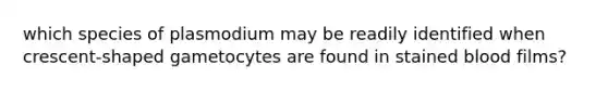 which species of plasmodium may be readily identified when crescent-shaped gametocytes are found in stained blood films?