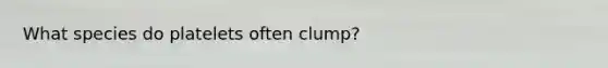 What species do platelets often clump?