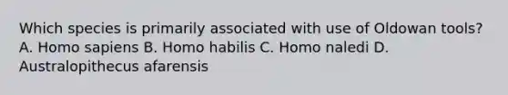 Which species is primarily associated with use of Oldowan tools? A. Homo sapiens B. Homo habilis C. Homo naledi D. Australopithecus afarensis