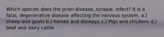 Which species does the prion disease, scrapie, infect? It is a fatal, degenerative disease affecting the <a href='https://www.questionai.com/knowledge/kThdVqrsqy-nervous-system' class='anchor-knowledge'>nervous system</a>. a.) sheep and goats b.) horses and donkeys c.) Pigs and chickens d.) beef and dairy cattle