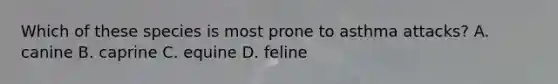 Which of these species is most prone to asthma attacks? A. canine B. caprine C. equine D. feline