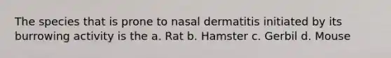 The species that is prone to nasal dermatitis initiated by its burrowing activity is the a. Rat b. Hamster c. Gerbil d. Mouse