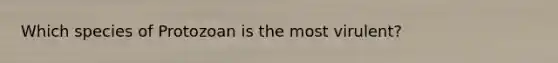 Which species of Protozoan is the most virulent?