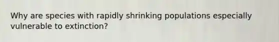 Why are species with rapidly shrinking populations especially vulnerable to extinction?