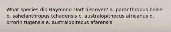 What species did Raymond Dart discover? a. paranthropus boisei b. sahelanthropus tchadensis c. australopithecus africanus d. orrorin tugensis e. australopitecus afarensis