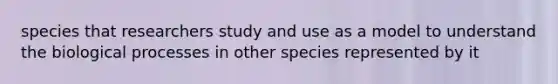 species that researchers study and use as a model to understand the biological processes in other species represented by it