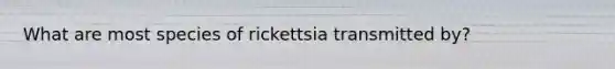 What are most species of rickettsia transmitted by?