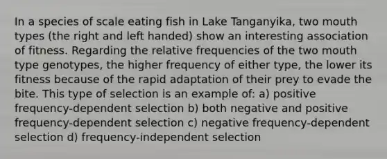 In a species of scale eating fish in Lake Tanganyika, two mouth types (the right and left handed) show an interesting association of fitness. Regarding the relative frequencies of the two mouth type genotypes, the higher frequency of either type, the lower its fitness because of the rapid adaptation of their prey to evade the bite. This type of selection is an example of: a) positive frequency-dependent selection b) both negative and positive frequency-dependent selection c) negative frequency-dependent selection d) frequency-independent selection