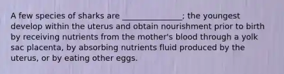 A few species of sharks are _______________; the youngest develop within the uterus and obtain nourishment prior to birth by receiving nutrients from the mother's blood through a yolk sac placenta, by absorbing nutrients fluid produced by the uterus, or by eating other eggs.