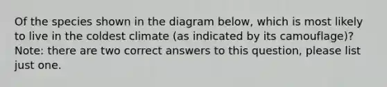 Of the species shown in the diagram below, which is most likely to live in the coldest climate (as indicated by its camouflage)? Note: there are two correct answers to this question, please list just one.