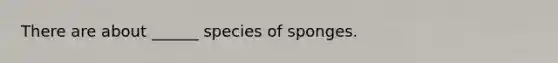 There are about ______ species of sponges.