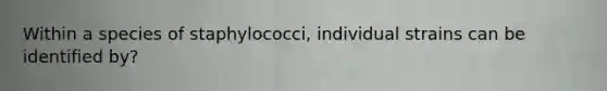 Within a species of staphylococci, individual strains can be identified by?