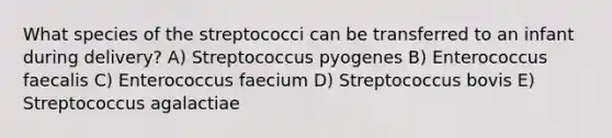 What species of the streptococci can be transferred to an infant during delivery? A) Streptococcus pyogenes B) Enterococcus faecalis C) Enterococcus faecium D) Streptococcus bovis E) Streptococcus agalactiae