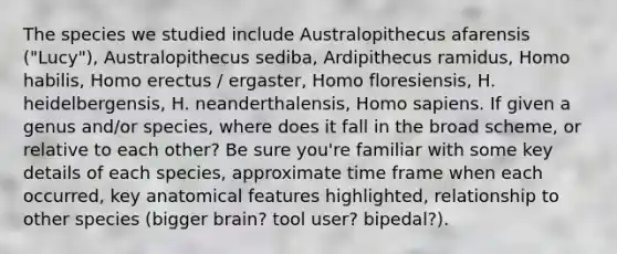 The species we studied include Australopithecus afarensis ("Lucy"), Australopithecus sediba, Ardipithecus ramidus, Homo habilis, Homo erectus / ergaster, Homo floresiensis, H. heidelbergensis, H. neanderthalensis, Homo sapiens. If given a genus and/or species, where does it fall in the broad scheme, or relative to each other? Be sure you're familiar with some key details of each species, approximate time frame when each occurred, key anatomical features highlighted, relationship to other species (bigger brain? tool user? bipedal?).