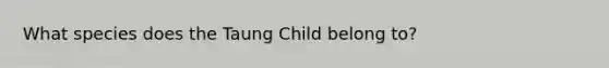 What species does the Taung Child belong to?