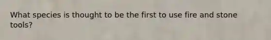 What species is thought to be the first to use fire and stone tools?