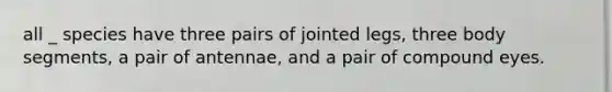 all _ species have three pairs of jointed legs, three body segments, a pair of antennae, and a pair of compound eyes.