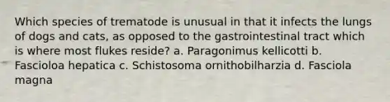 Which species of trematode is unusual in that it infects the lungs of dogs and cats, as opposed to the gastrointestinal tract which is where most flukes reside? a. Paragonimus kellicotti b. Fascioloa hepatica c. Schistosoma ornithobilharzia d. Fasciola magna