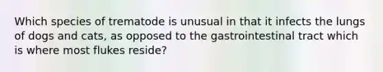 Which species of trematode is unusual in that it infects the lungs of dogs and cats, as opposed to the gastrointestinal tract which is where most flukes reside?