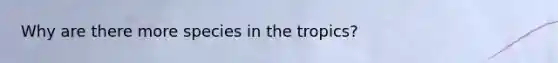 Why are there more species in the tropics?
