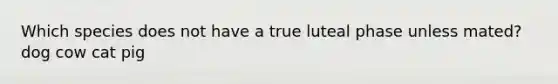 Which species does not have a true luteal phase unless mated? dog cow cat pig