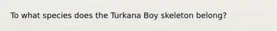 To what species does the Turkana Boy skeleton belong?