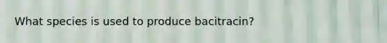 What species is used to produce bacitracin?